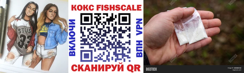 наркота  Павловск  Кокаин Fish Scale 