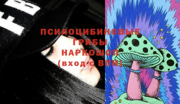 МДПВ Лиски