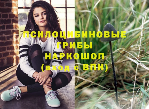 МДПВ Лиски