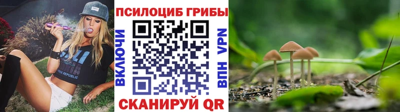 Галлюциногенные грибы Psilocybe Павловск